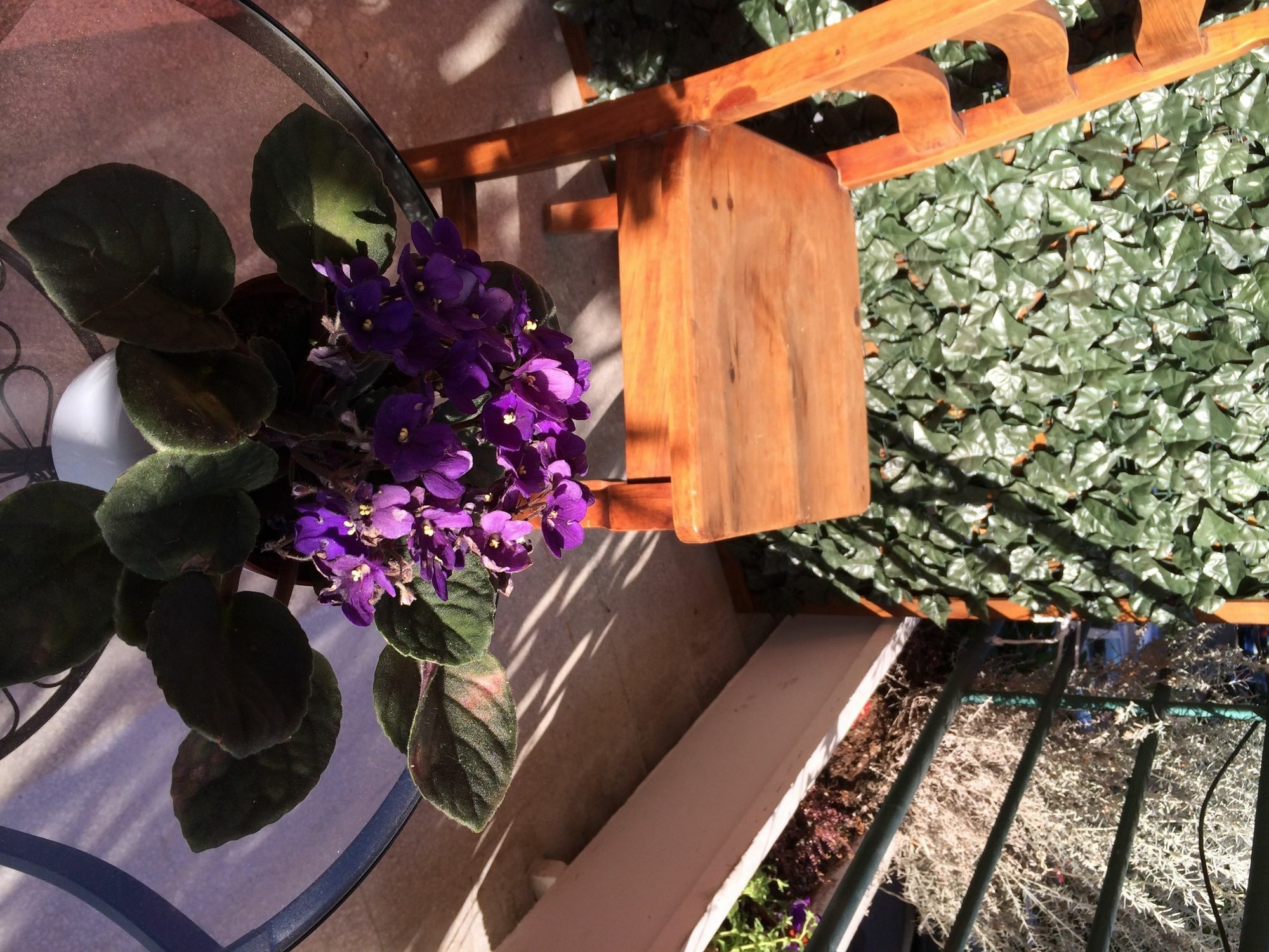 Shelisa Bed & Breakfast 3*