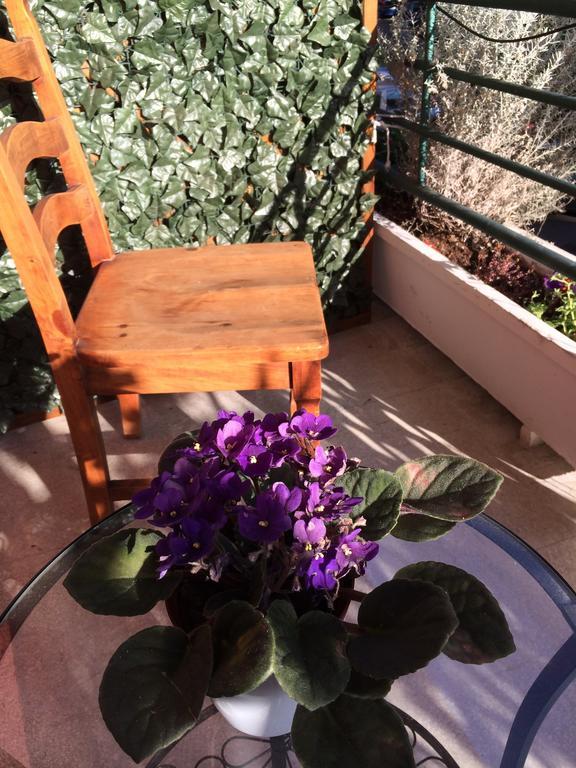 Bed & Breakfast Shelisa B&B
